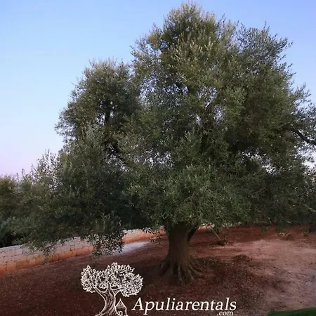 Apartament Trullo Milu Con Piscina *
